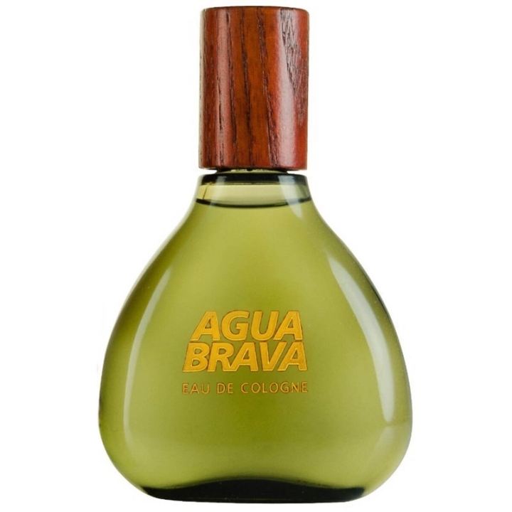 Antonio Puig Puig Agua Brava Edc 100ml v:1531013