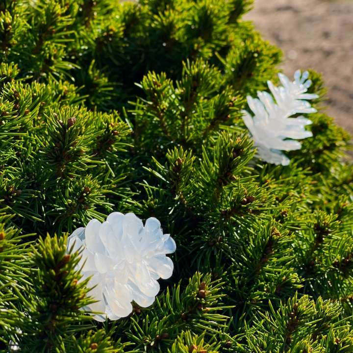 LightsOn Pine 10m lyskrans hvit glitrende kjegler v:8323640 LightsOn Pine 10m lyskrans hvit glitrende kjegler v:8323640