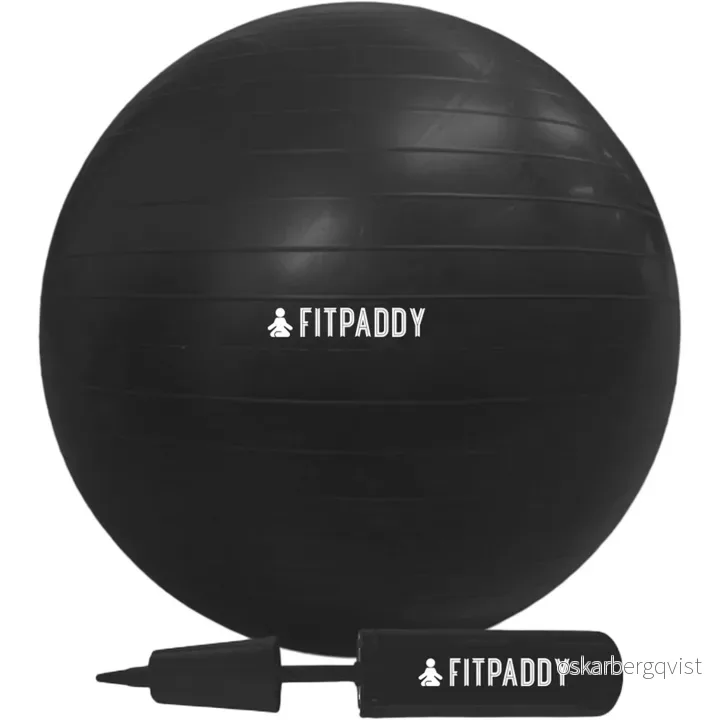 Fitpaddy Gymnastikkball 65 cm v:4460654
